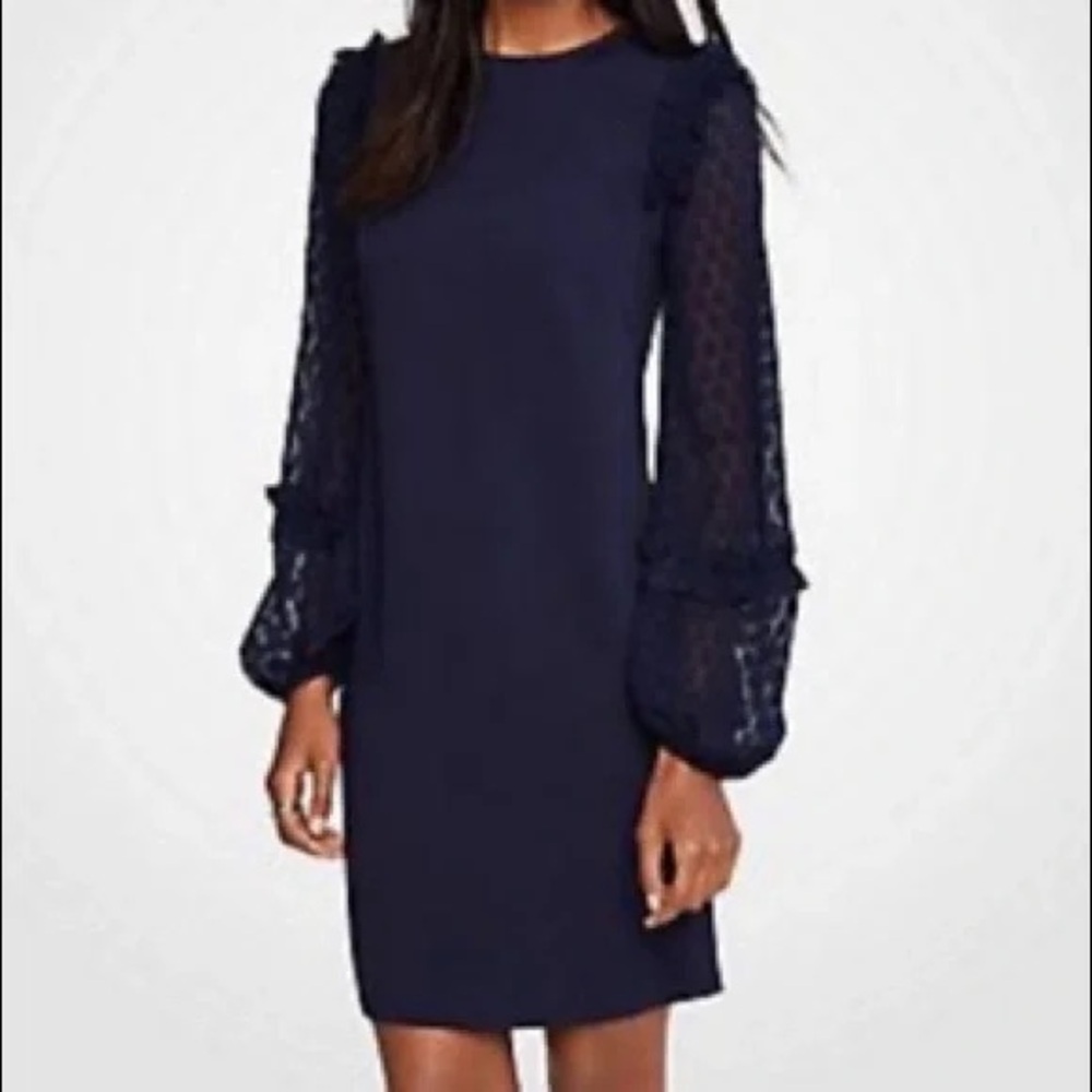 Ann Taylor Navy Dress with Sheer Dot Sleeves